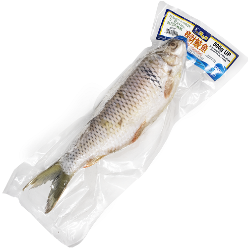 Dace_(Mud_Carp)_H/O_Gutted_IVP